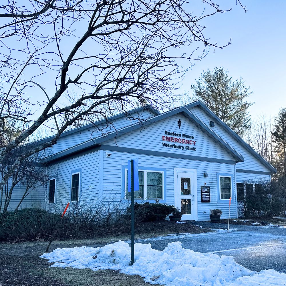 Eastern Maine Emergency Veterinary Clinic front