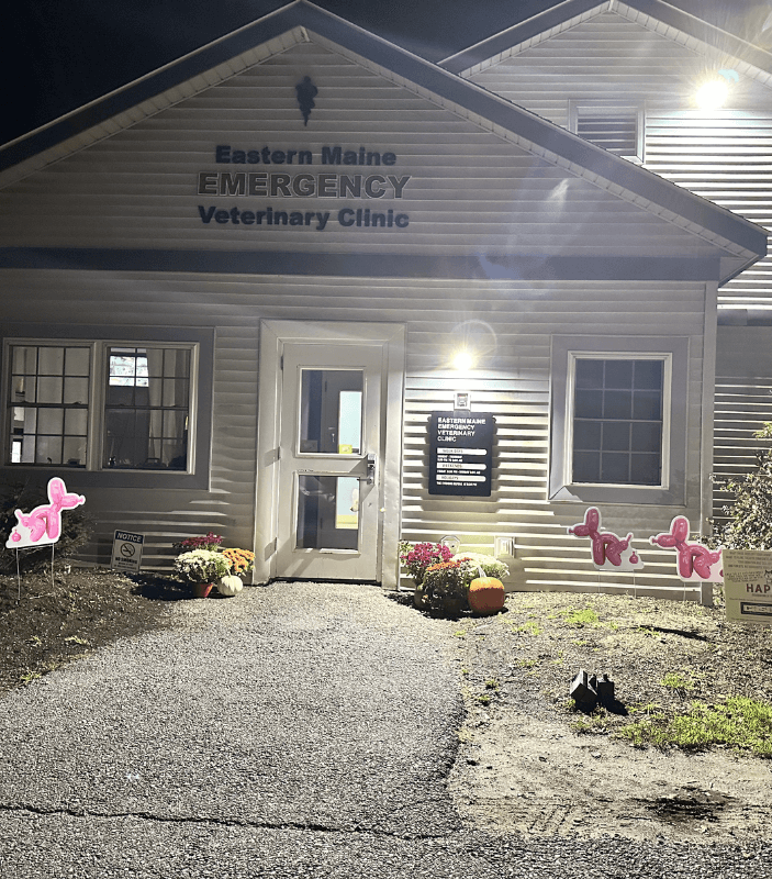 About Eastern Maine Emergency Vet Clinic Vet In Brewer, ME