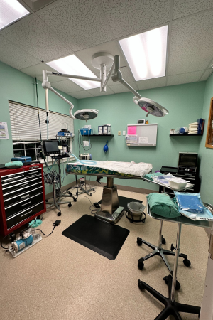 A room with a table and medical equipment