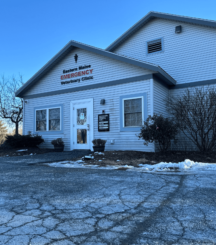 Brewer, ME Veterinary Jobs Eastern Maine Emergency Vet