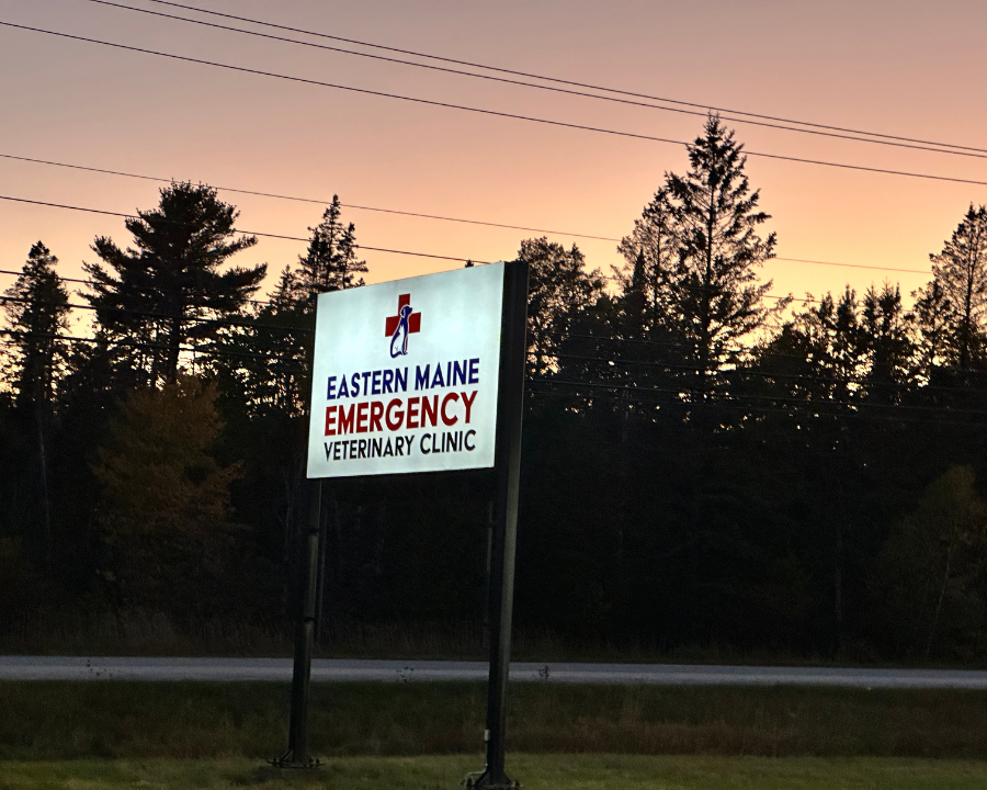 4 Front view Eastern Maine Emergency Veterinary Clinic
