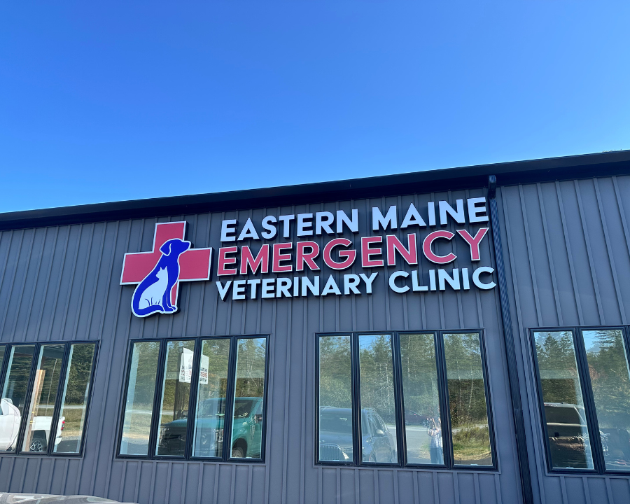 Eastern Maine Emergency Veterinary Clinic front