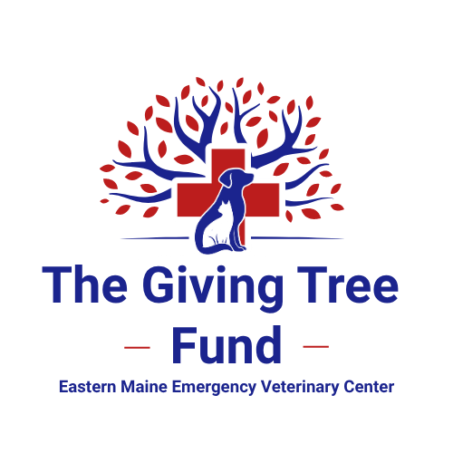 The Giving Tree Fund Logo