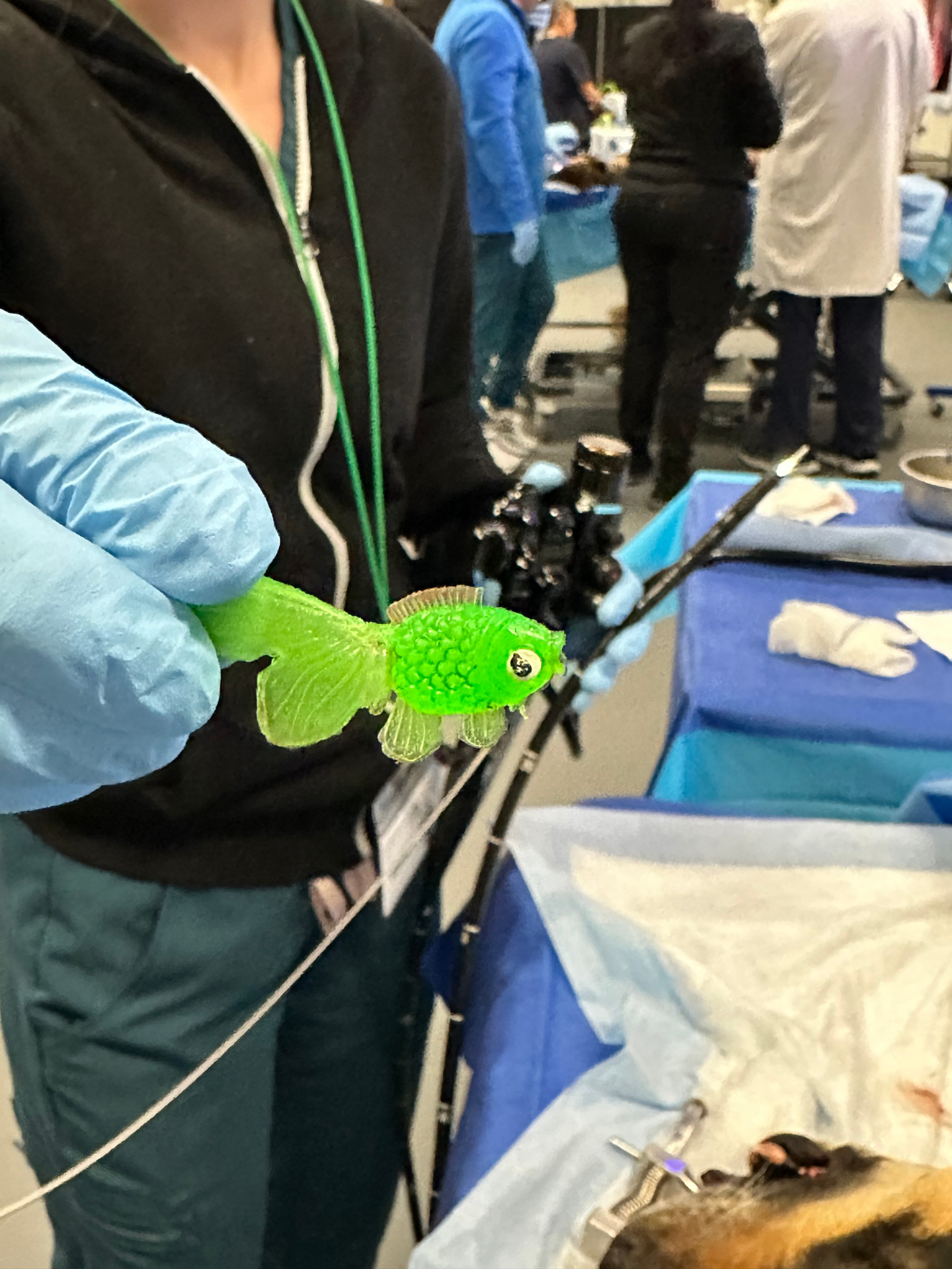 Endoscope fish removal A dog lying on a bed with a tube