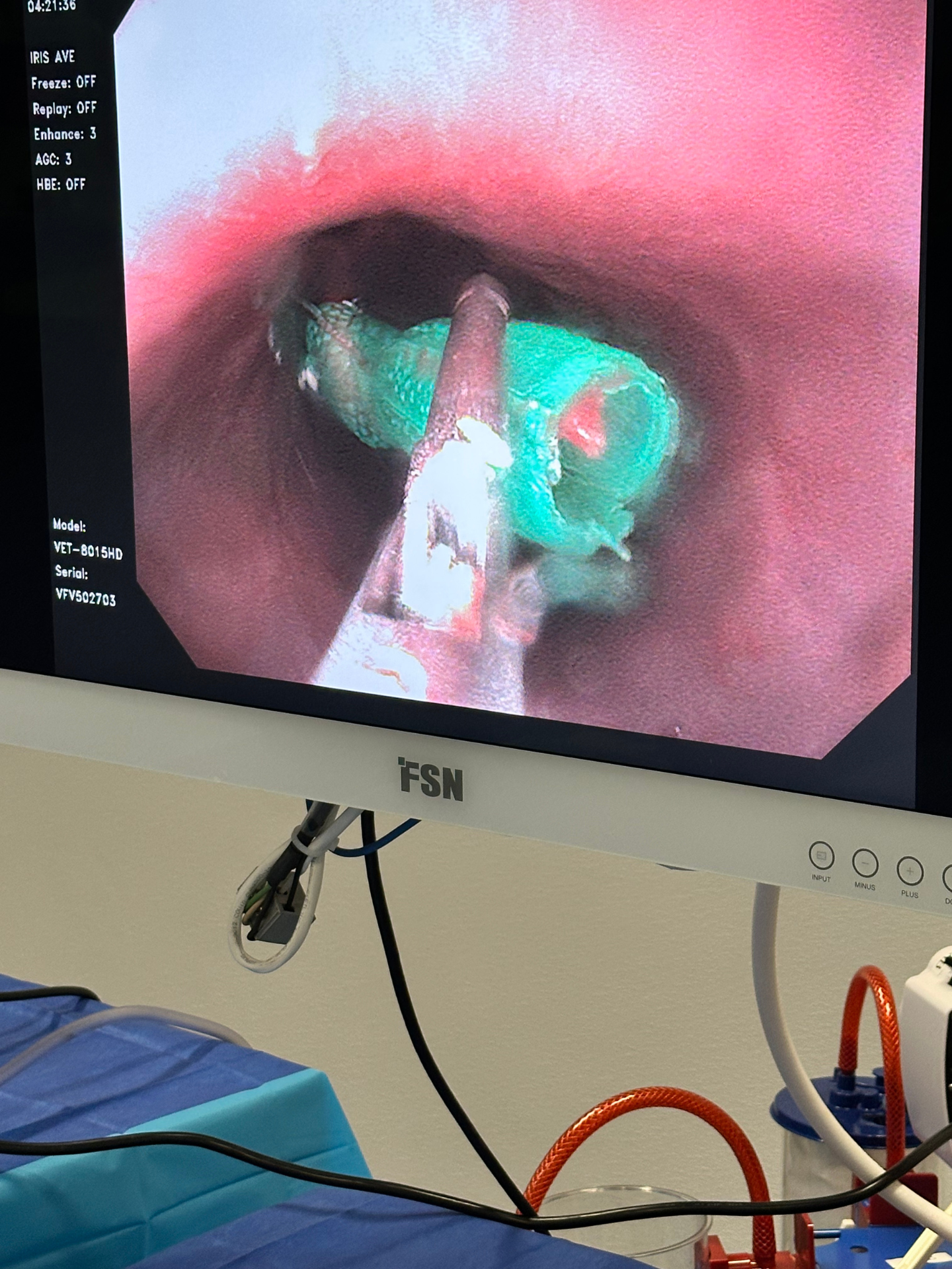 esophageal FB endoscope A dog lying on a bed with a tube