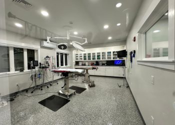 A group of people in a room with a dog