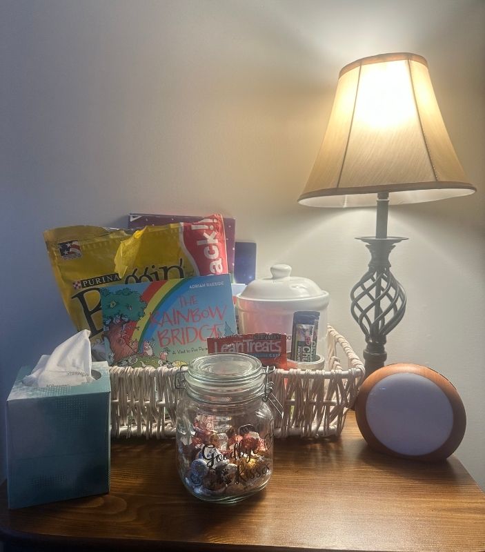 comfort room comfort room at Eastern Maine Emergency Vet