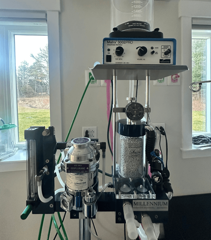 emergency care (1) Ventilator