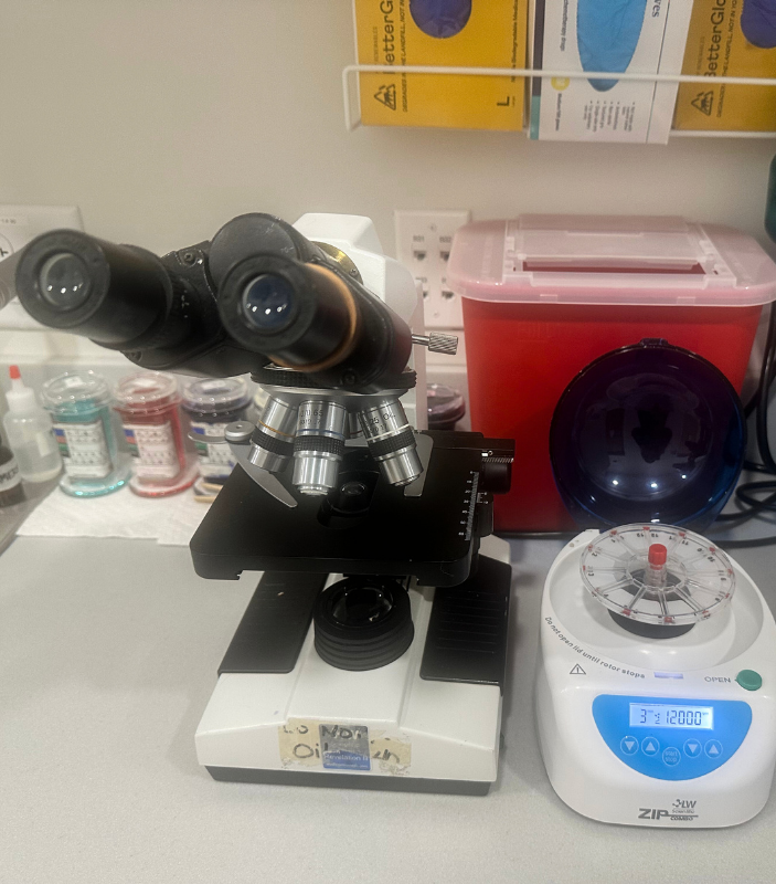 lab-img Eastern Maine Emergency Veterinary Clinic lab